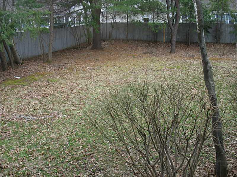 4 Spruce Street Saco, ME 04072 - Photo 29 of 30 Yard/Garden. Large rear yard