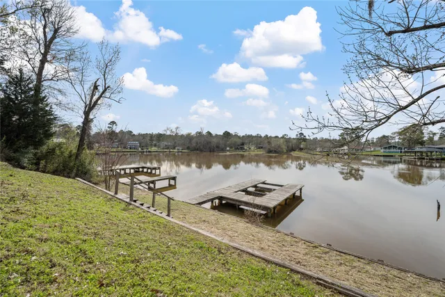 a view of a house with backyard and trees