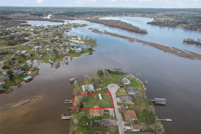 a view of yard with tree and trees