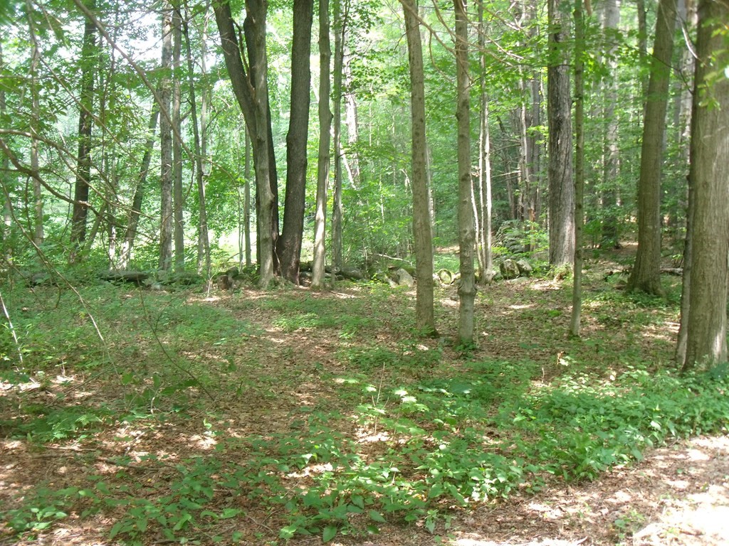 5 Valley View Road Williamsburg, MA 01096 - Photo 3 of 18 Gallery Image 3