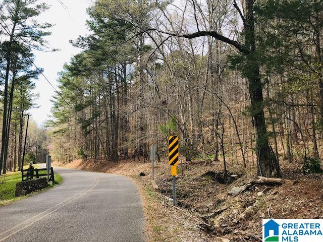 8607 Zuber Road, Unit 22 65 ACRES Springville, AL 35146 - Photo 8 of 9