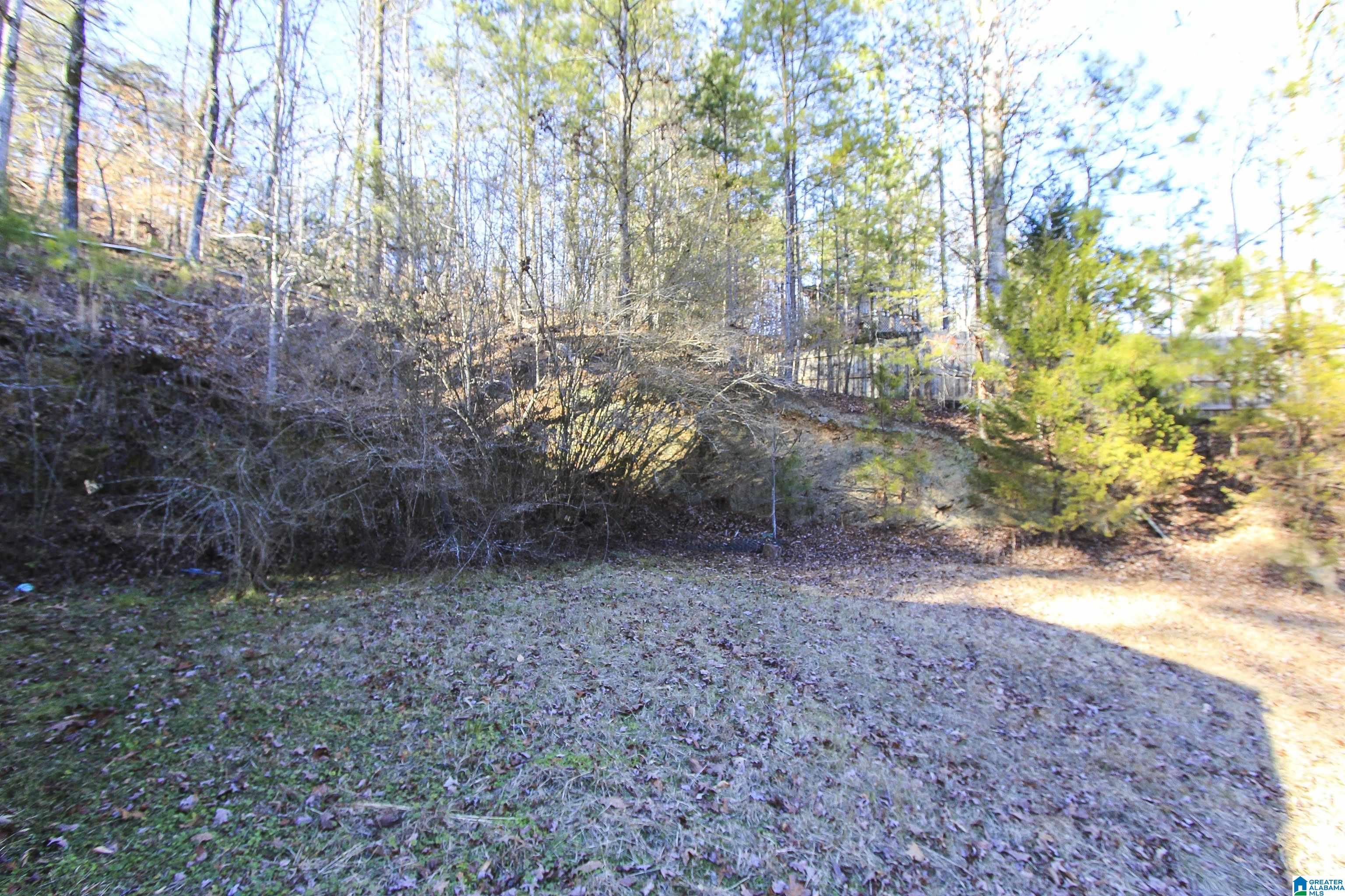 129 Mohawk Trail Ohatchee, AL 36271 - Photo 27 of 29
