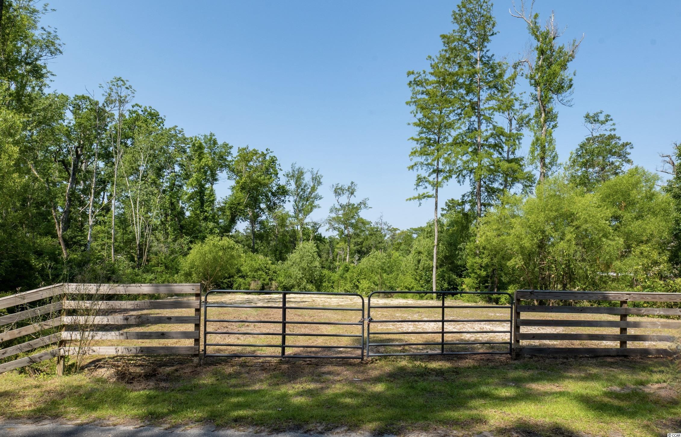 Tbd Francis Marion Drive Georgetown, SC 29440 - Photo 27 of 28