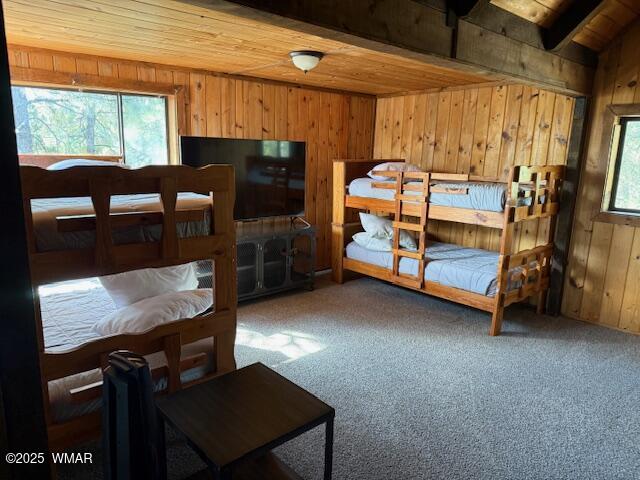 2832 View Way Lakeside, AZ 85929 - Photo 42 of 50
