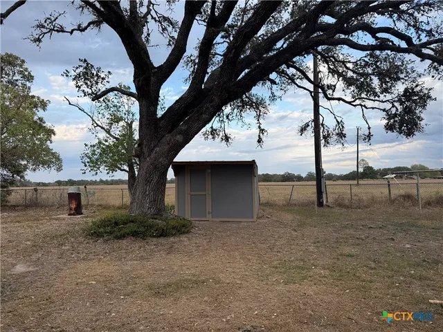 a view of a yard with a tree