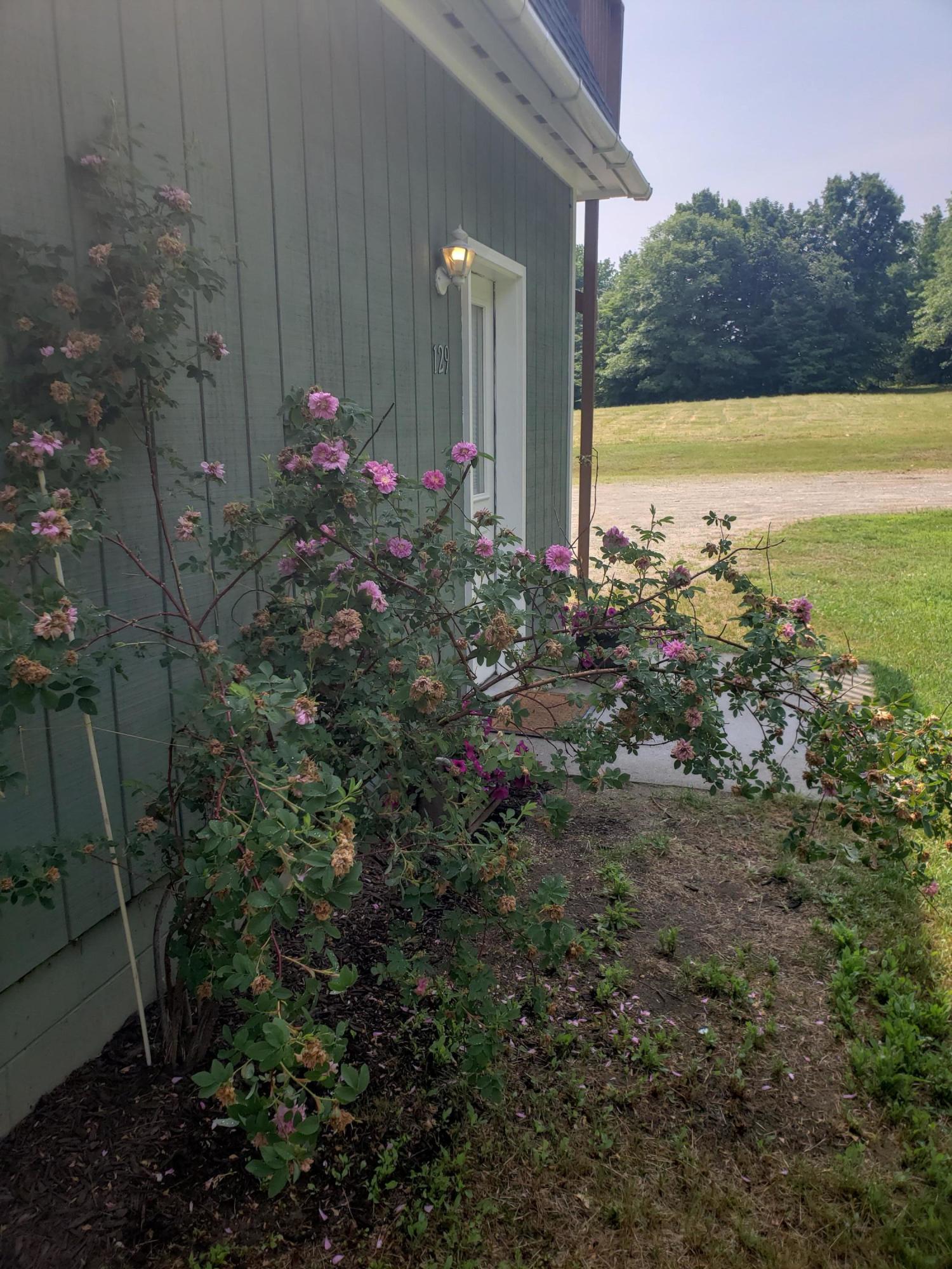 129 Lomie Rivers Road Jay, ME 04239 - Photo 16 of 38 20210621_103455