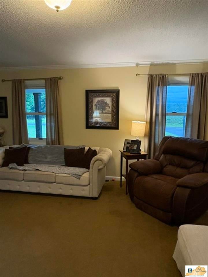 1203 Fountain Run Road Gamaliel, KY 42140 - Photo 8 of 33 Gallery Image 8