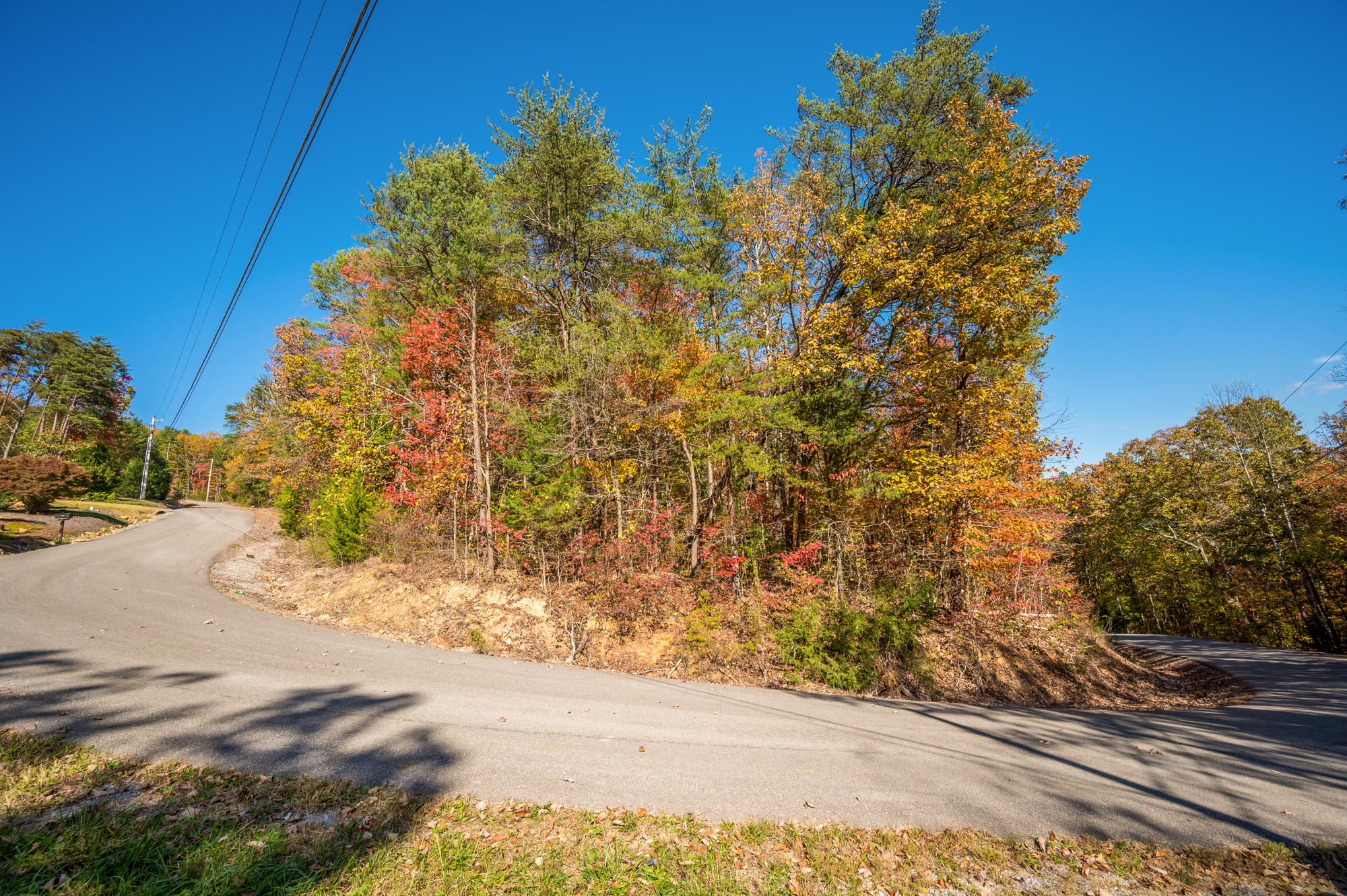 928 Blue Sewanee Road Dunlap, TN 37327 - Photo 11 of 18 928_Blue_Sewanee_Rd_0013