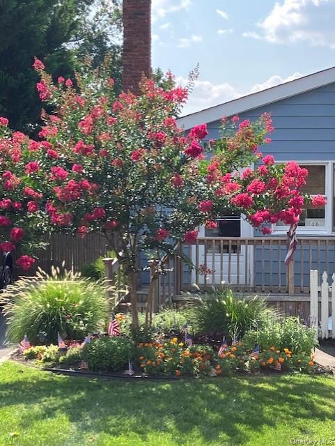 46 Monell Avenue Islip, NY 11751 - Photo 5 of 46