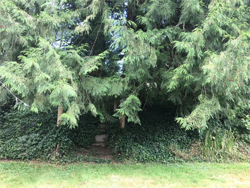 20214 Southeast 152nd Street Renton, WA 98059 - Photo 9 of 25