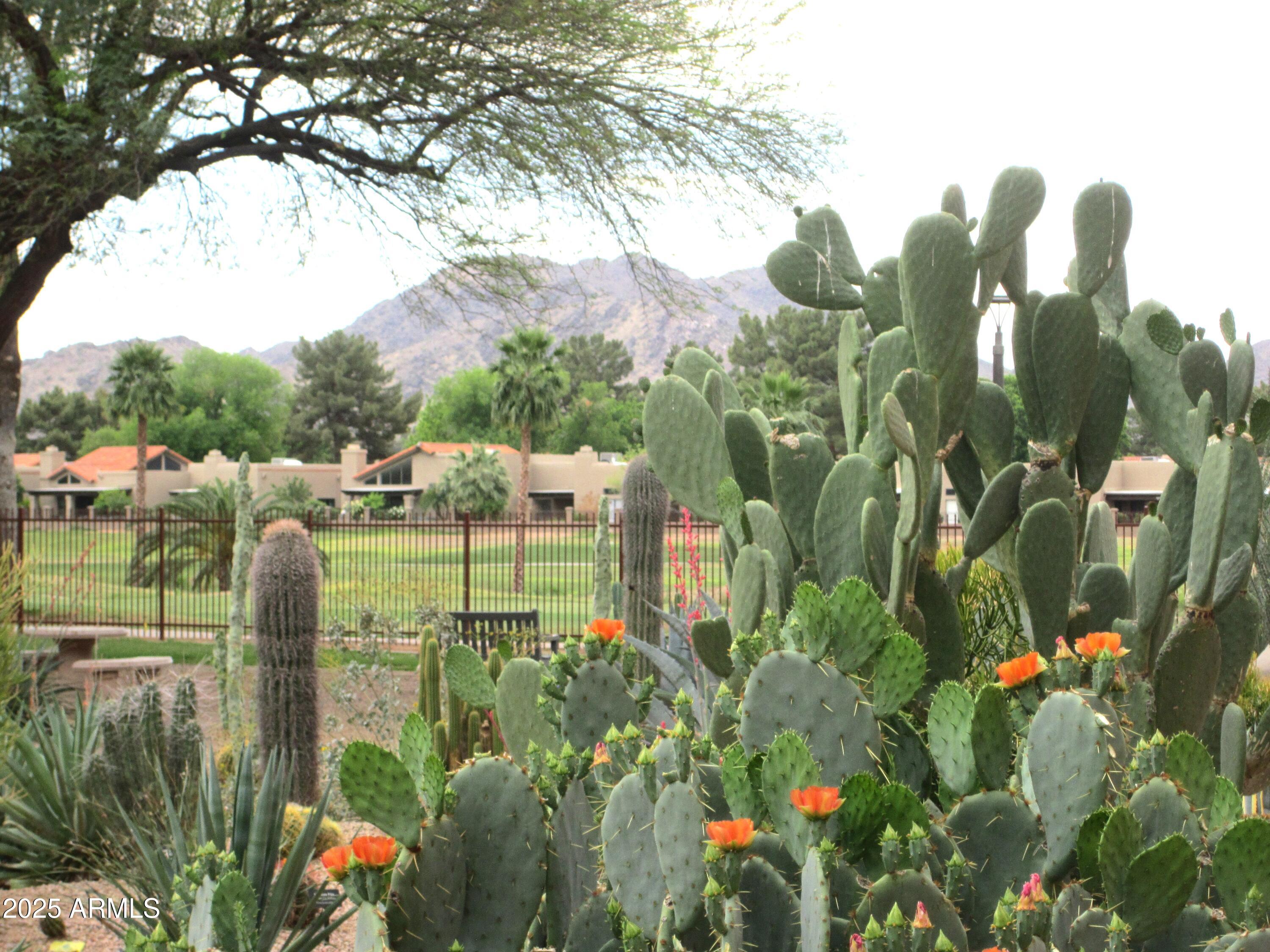 4303 East Cactus Road, Unit 407 Phoenix, AZ 85032 - Photo 15 of 16 a view of a lake view