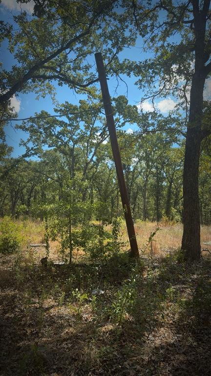 0 R And R Kemp, TX 75143 - Photo 4 of 7 Gallery Image 4