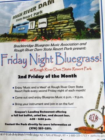 860 Shores Road Falls Of Rough, KY 40119 - Photo 10 of 10 Rough River Entertainment!