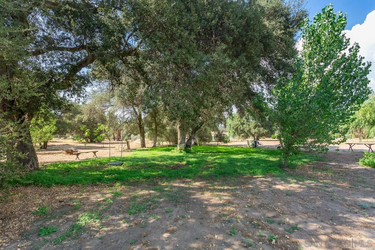 2341 Lake Morena Drive Campo, CA 91906 - Photo 11 of 45 a view of a park with large trees