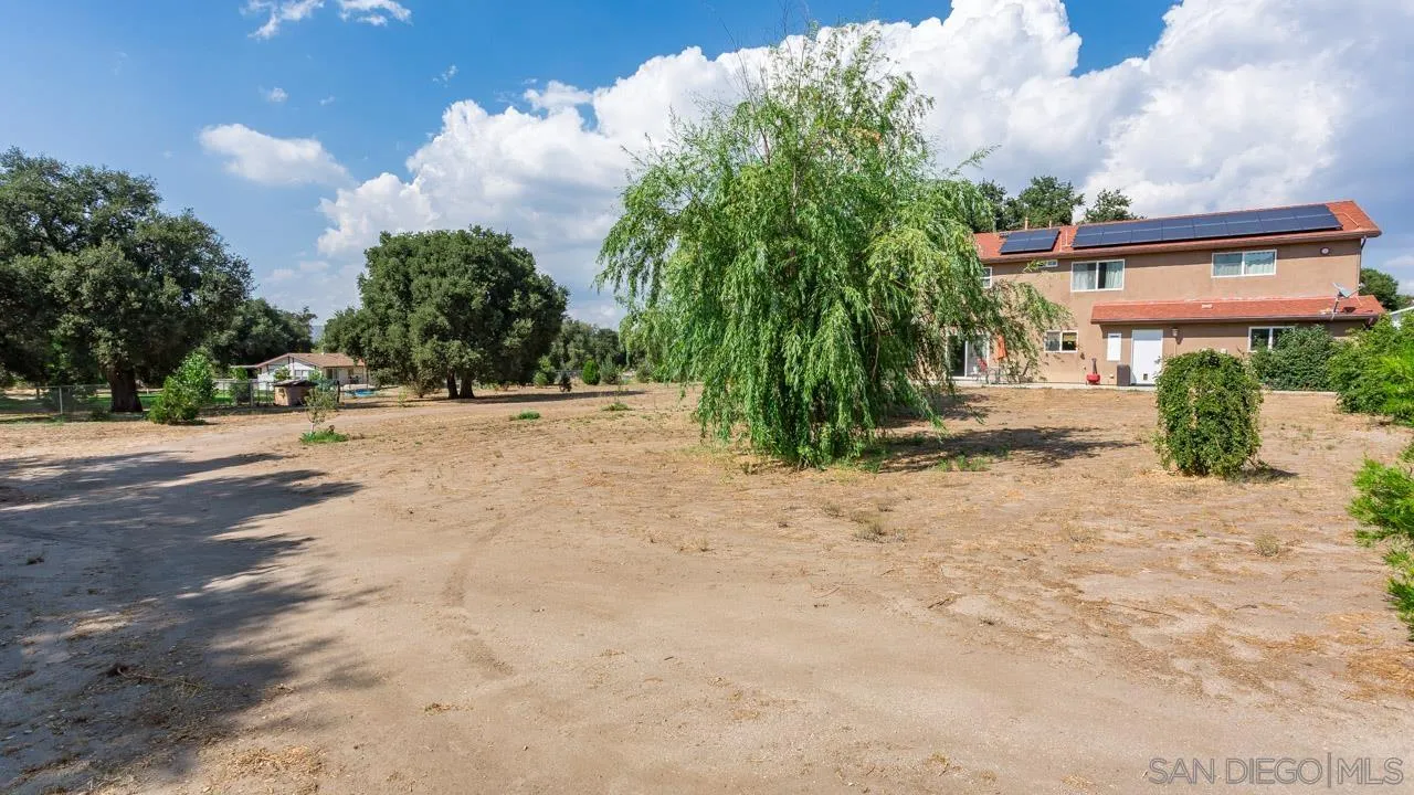 2341 Lake Morena Drive Campo, CA 91906 - Photo 12 of 45 a row of palm trees in front of a house