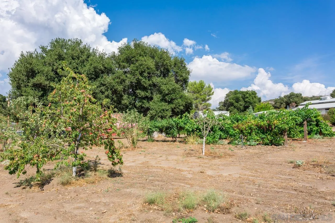 2341 Lake Morena Drive Campo, CA 91906 - Photo 16 of 45 a view of an outdoor space and yard