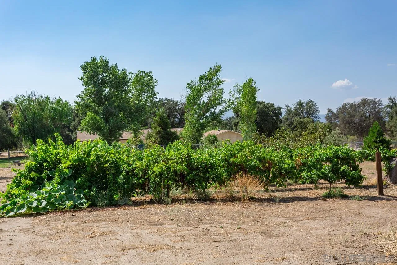 2341 Lake Morena Drive Campo, CA 91906 - Photo 17 of 45 a backyard of a house with lots of green space