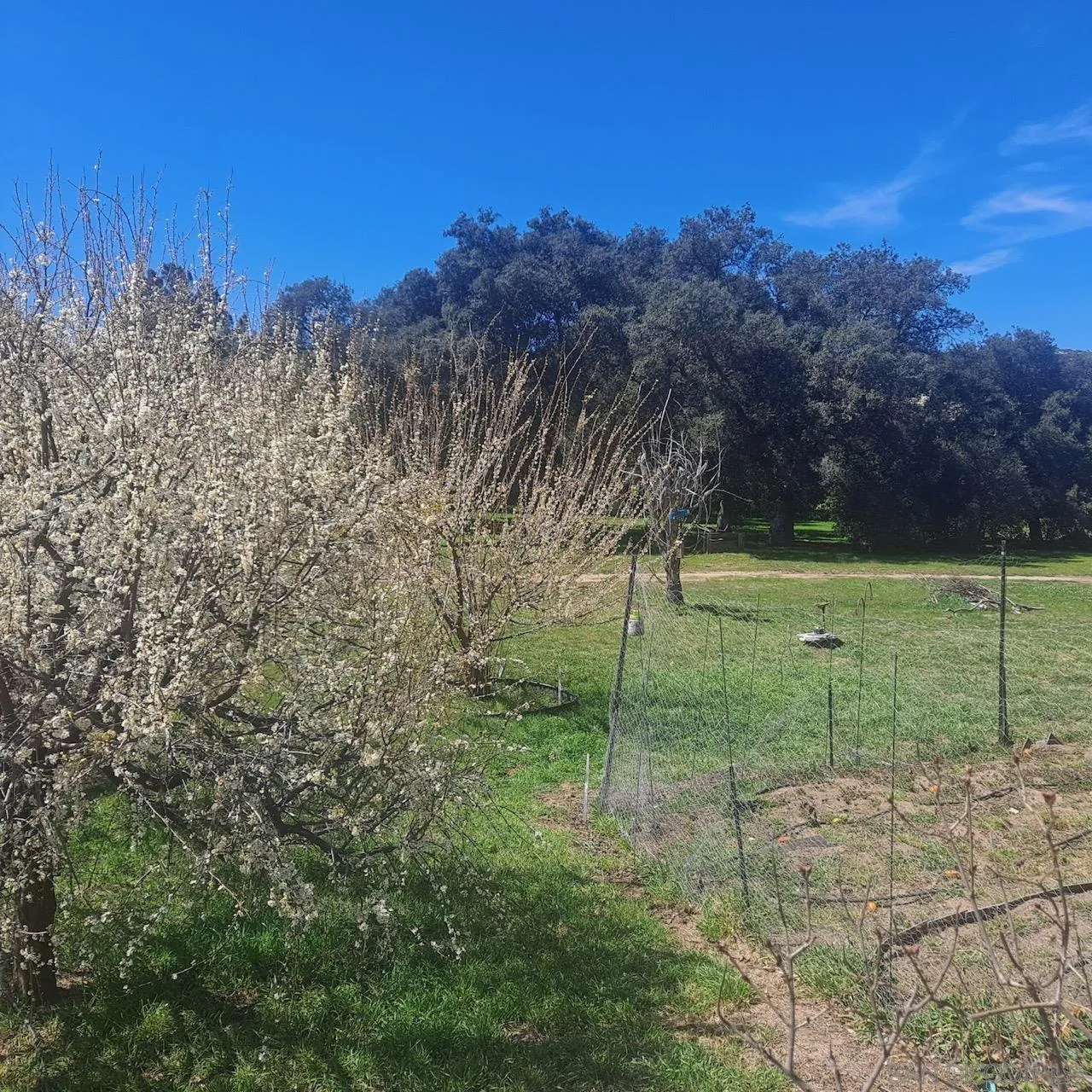 2341 Lake Morena Drive Campo, CA 91906 - Photo 43 of 45 a view of a park