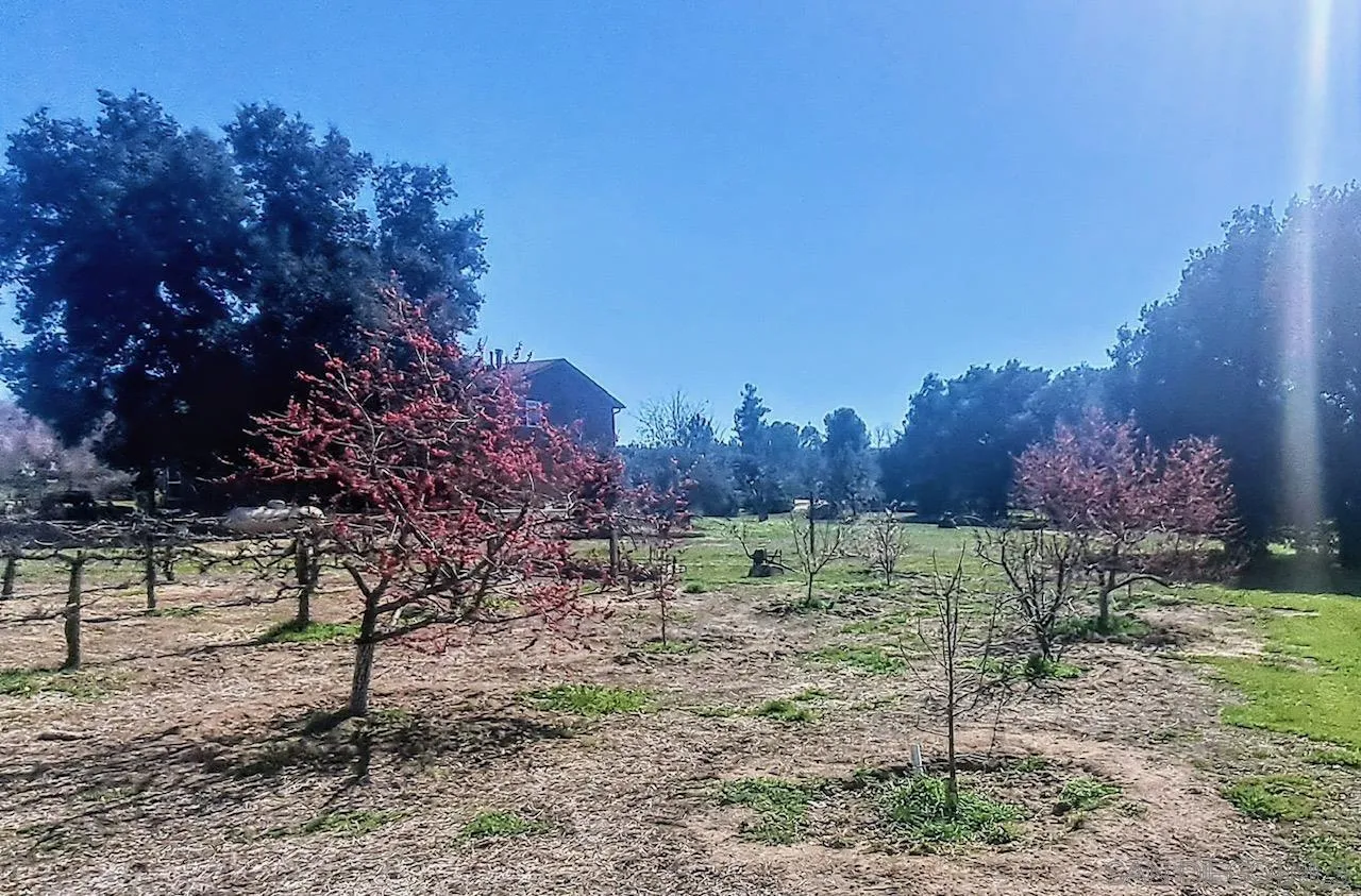 2341 Lake Morena Drive Campo, CA 91906 - Photo 45 of 45 a view of outdoor space and city view