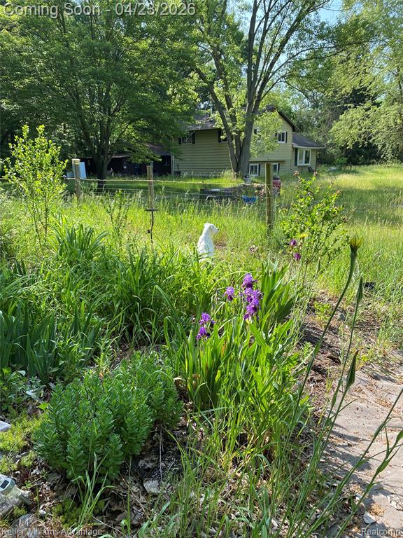 42050 Fret Road Belleville, MI 48111 - Photo 7 of 9
