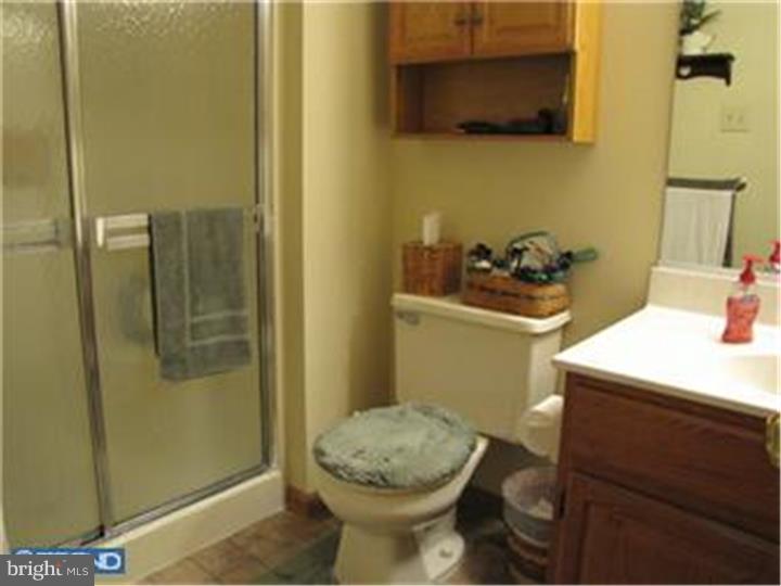 62 Quaker Road Mickleton, NJ 08056 - Photo 11 of 22 Master Bathroom