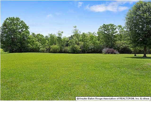 23130 Jacock Road Slaughter, LA 70777 - Photo 12 of 13 Gallery Image 12