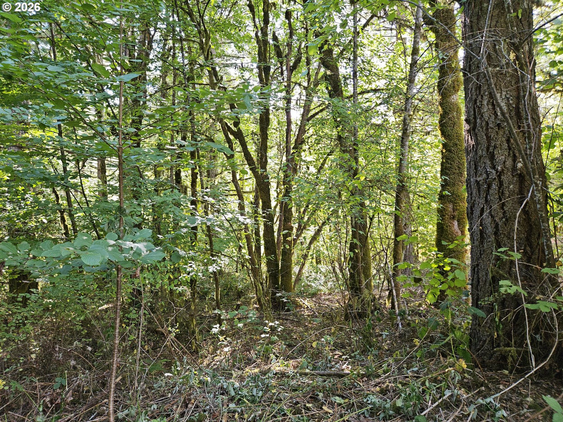 27311 Smithville Road Sheridan, OR 97378 - Photo 22 of 48 Gallery Image 22