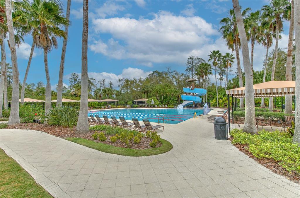 27601 Baybrook Loop Wesley Chapel, FL 33544 - Photo 24 of 34