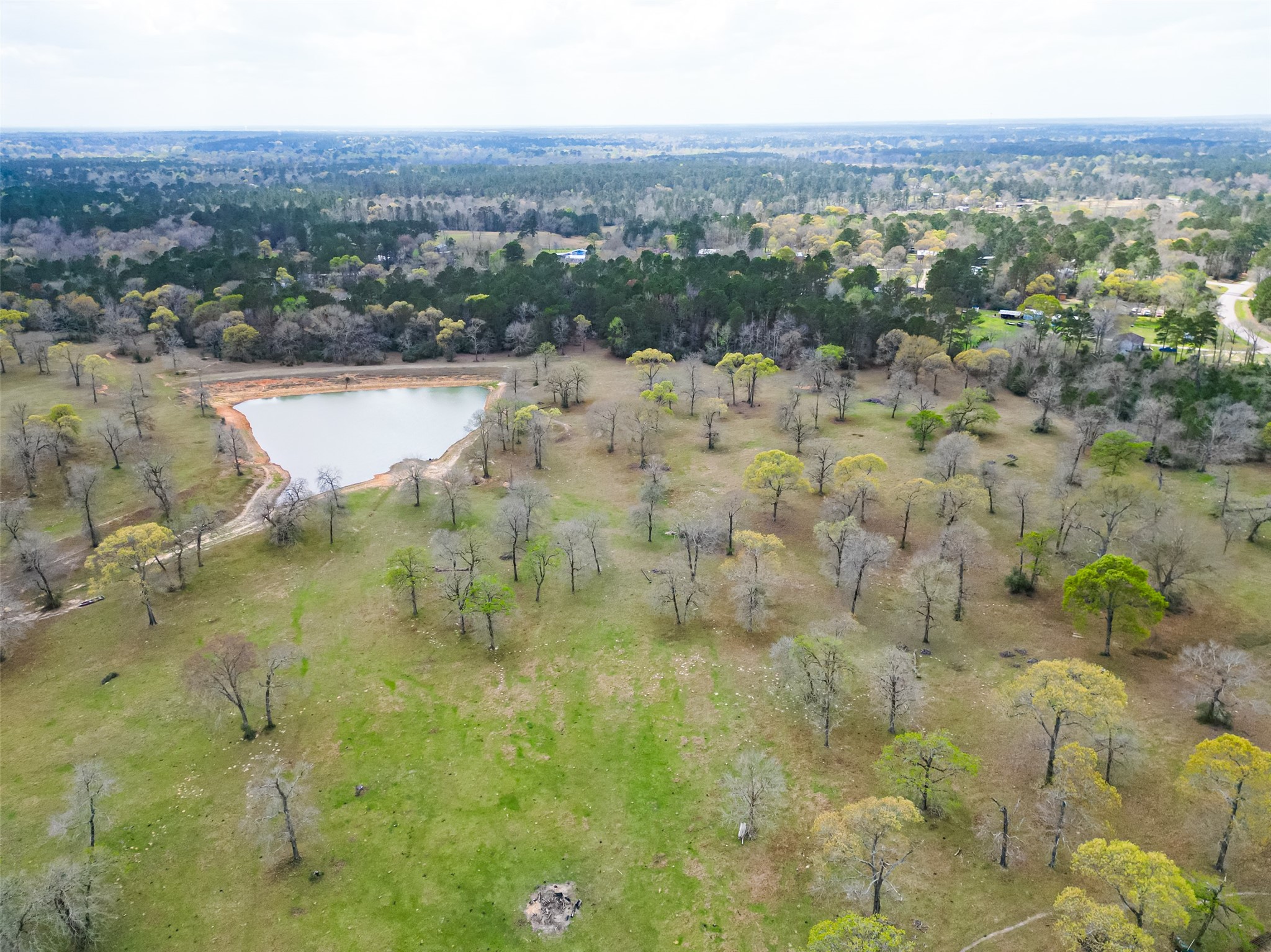 0 Clint Parker Road Conroe, TX 77303 - Photo 3 of 29