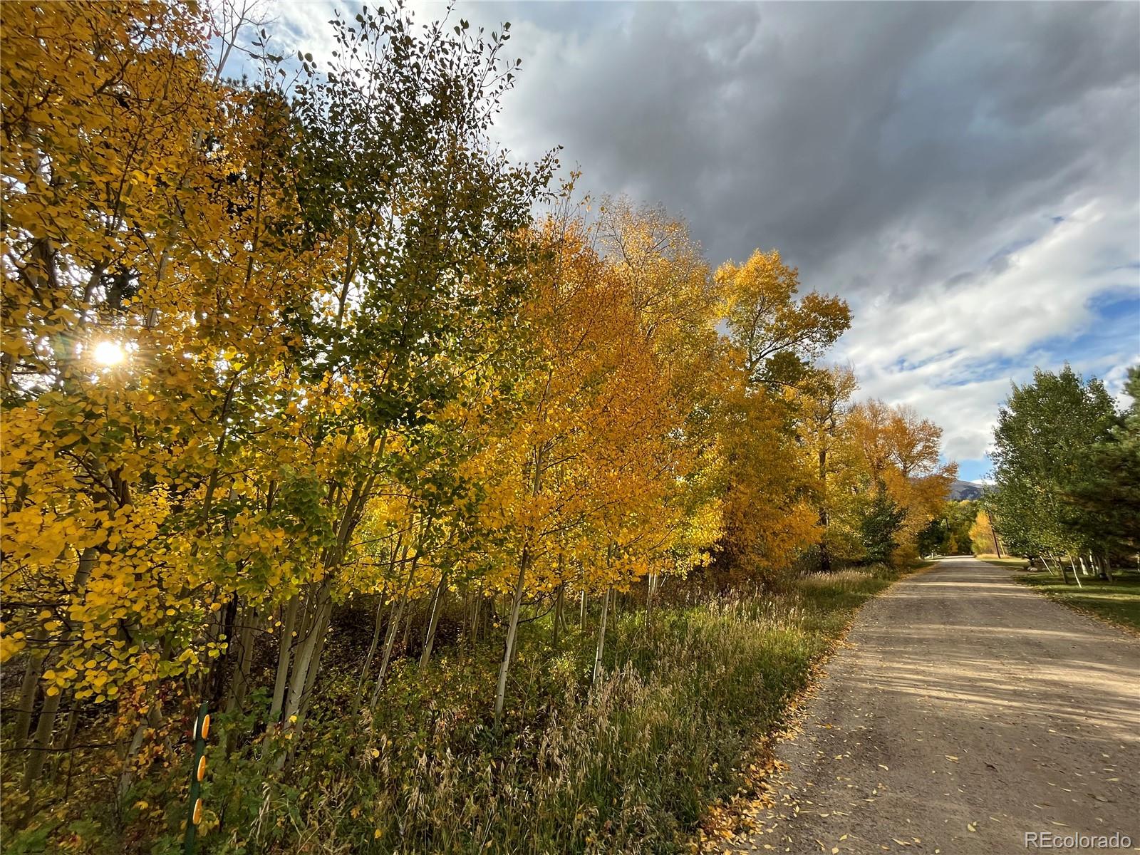 8242 County Road Salida, CO 81201 - Photo 8 of 47