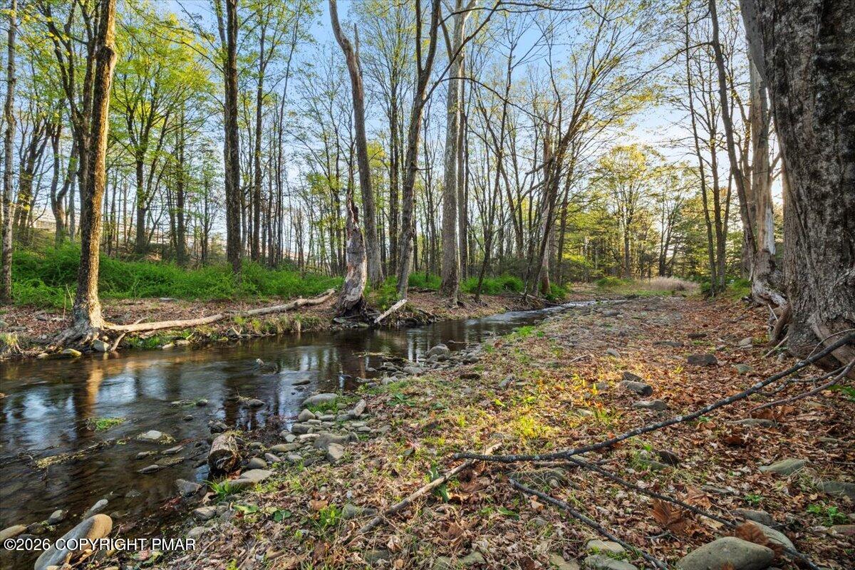254 Lower Swiftwater Road Cresco, PA 18326 - Photo 2 of 46 39-Photo-38