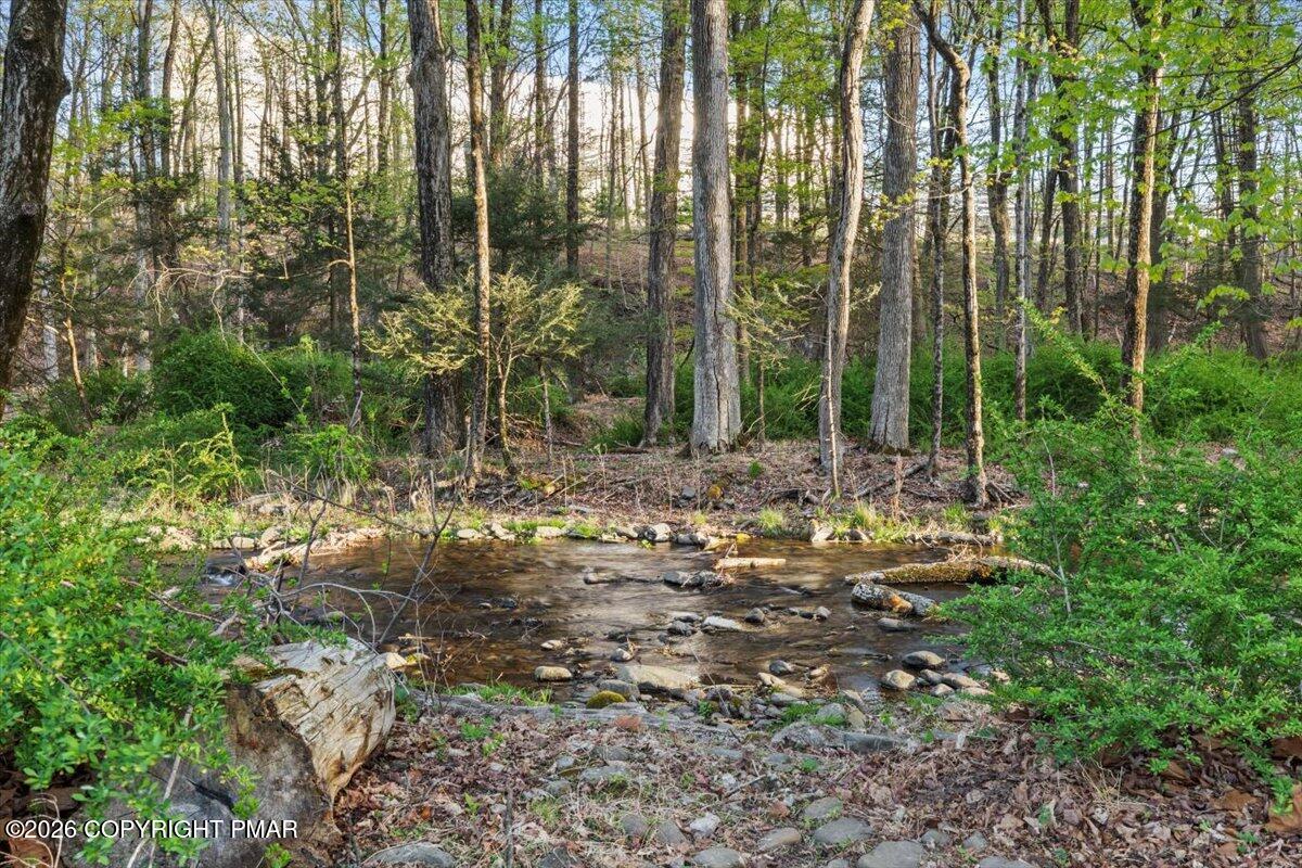 254 Lower Swiftwater Road Cresco, PA 18326 - Photo 38 of 46 43-Photo-42