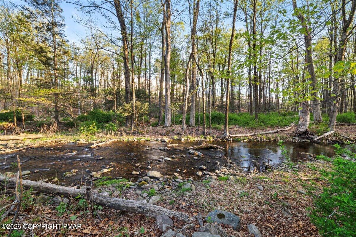 254 Lower Swiftwater Road Cresco, PA 18326 - Photo 39 of 46 44-Photo-43