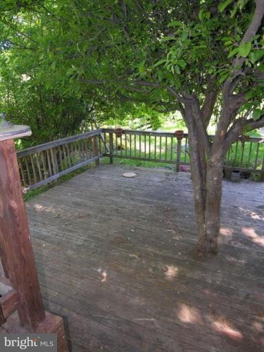 5007 Morello Road Baltimore, MD 21214 - Photo 8 of 28 a view of a yard with large trees and wooden fence