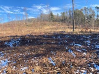 Grassy Meadows Road Alderson, WV 24910 - Photo 15 of 27 Gallery Image 15
