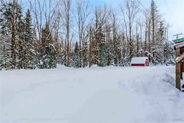 $150,000 | 298 Billy Hamlin Road, Ohio, NY 13324