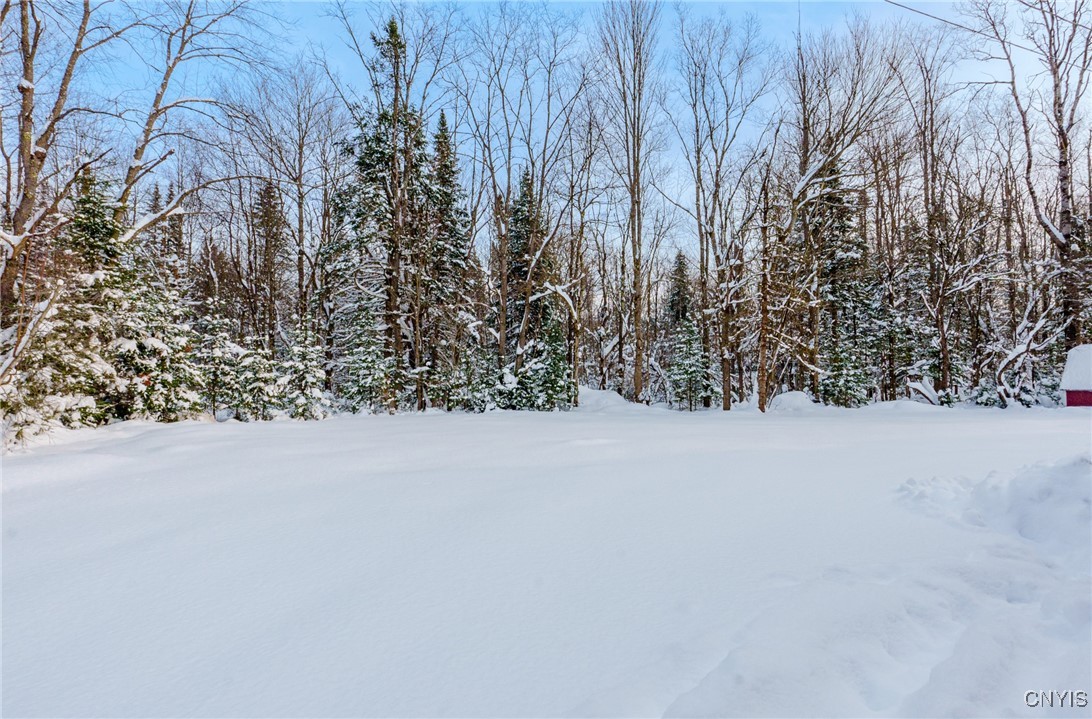 298 Billy Hamlin Road Ohio, NY 13324 - Photo 5 of 27