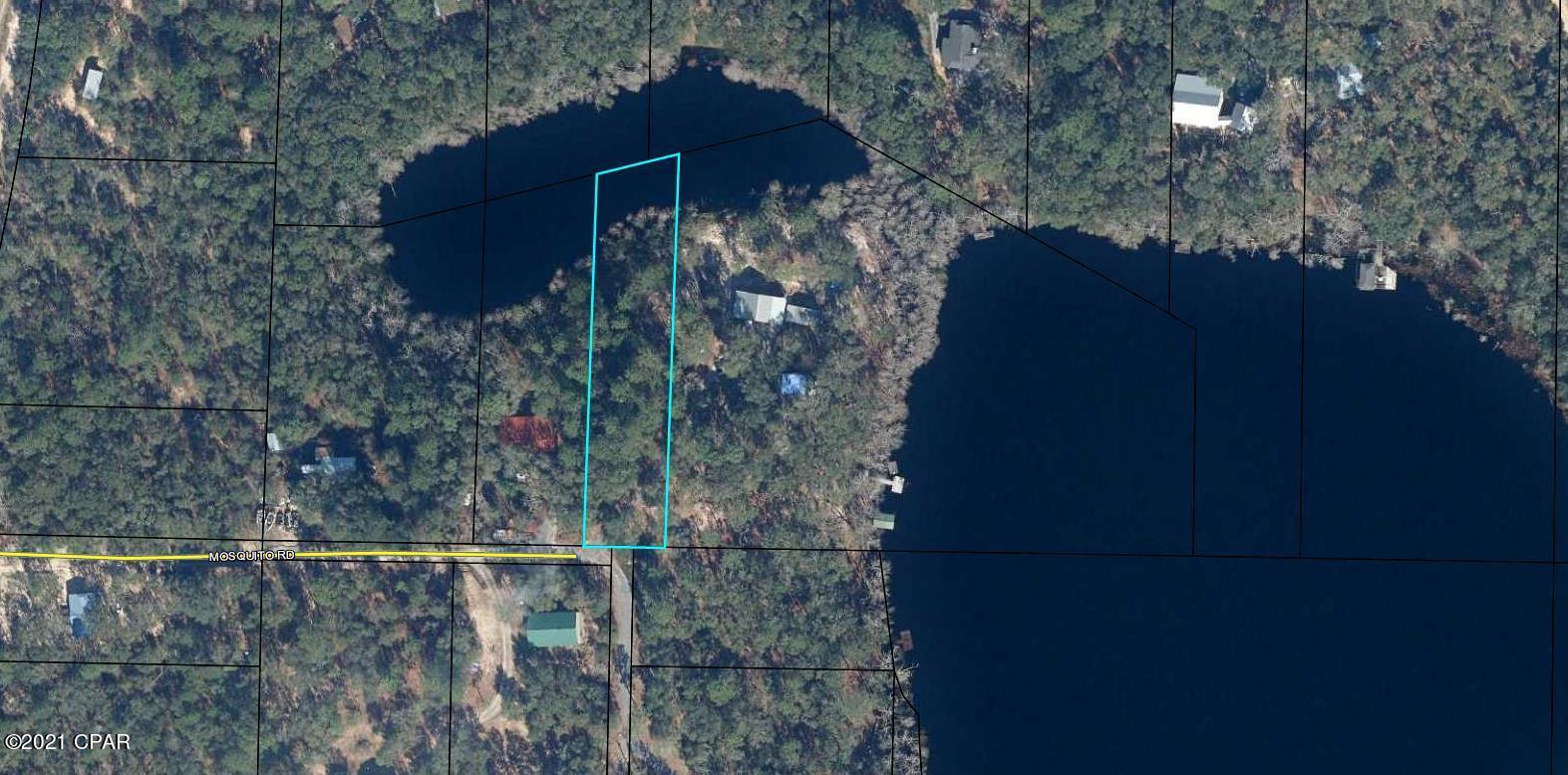 0 Mosquito Road Chipley, FL 32428 - Photo 1 of 8 Gallery Image 1