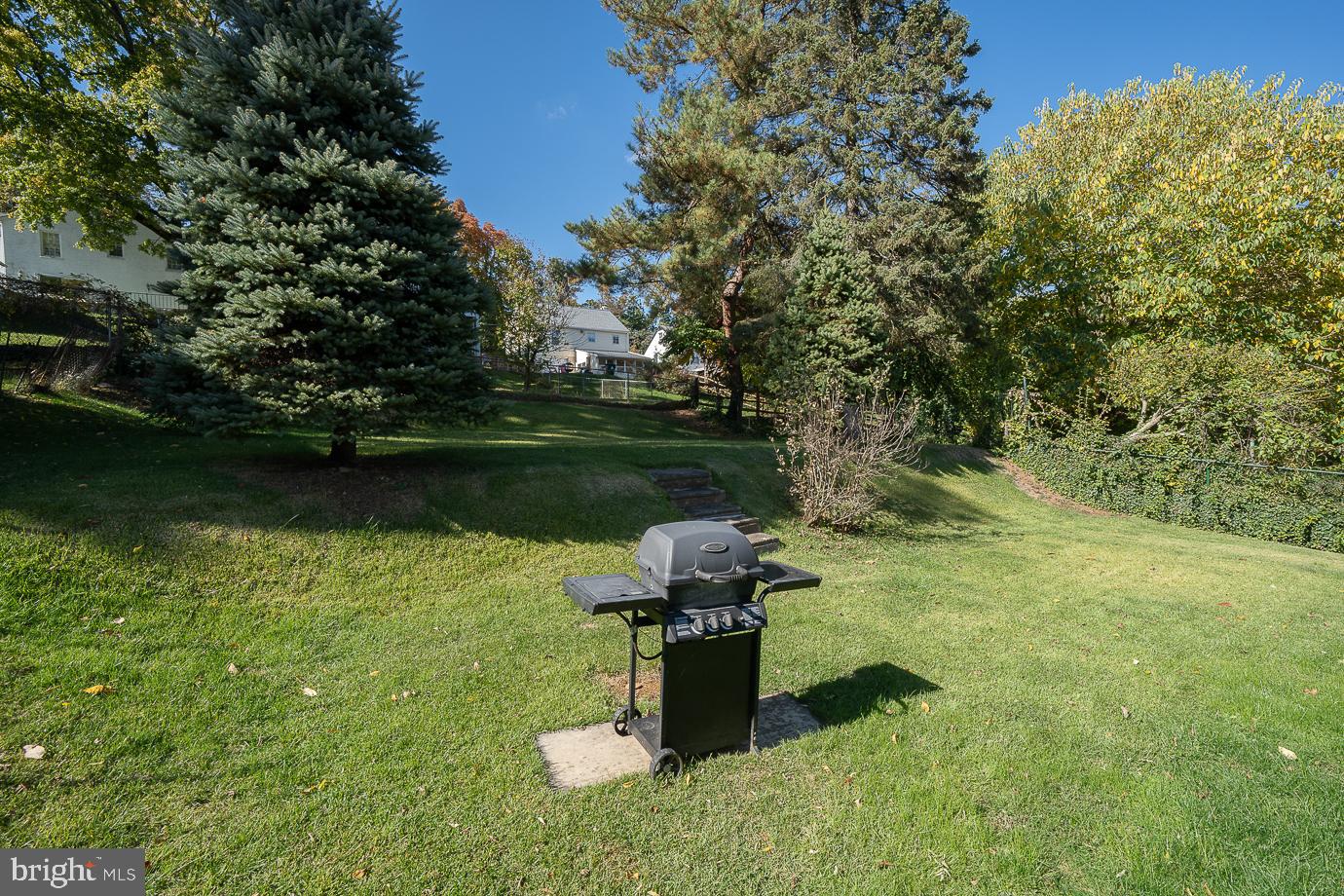 28 Delmont Road Newtown Square, PA 19073 - Photo 64 of 65 Backyard