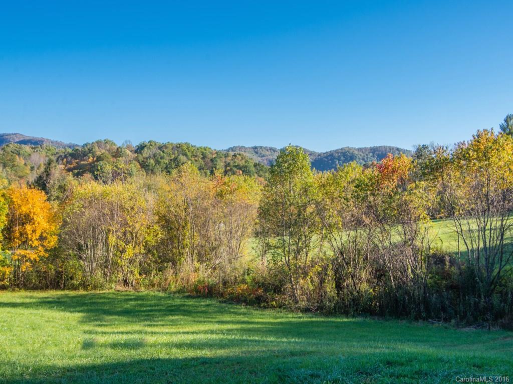 Lot 2 Cane Creek Road, Unit 2 Fletcher, NC 28732 - Photo 1 of 16 Gallery Image 1