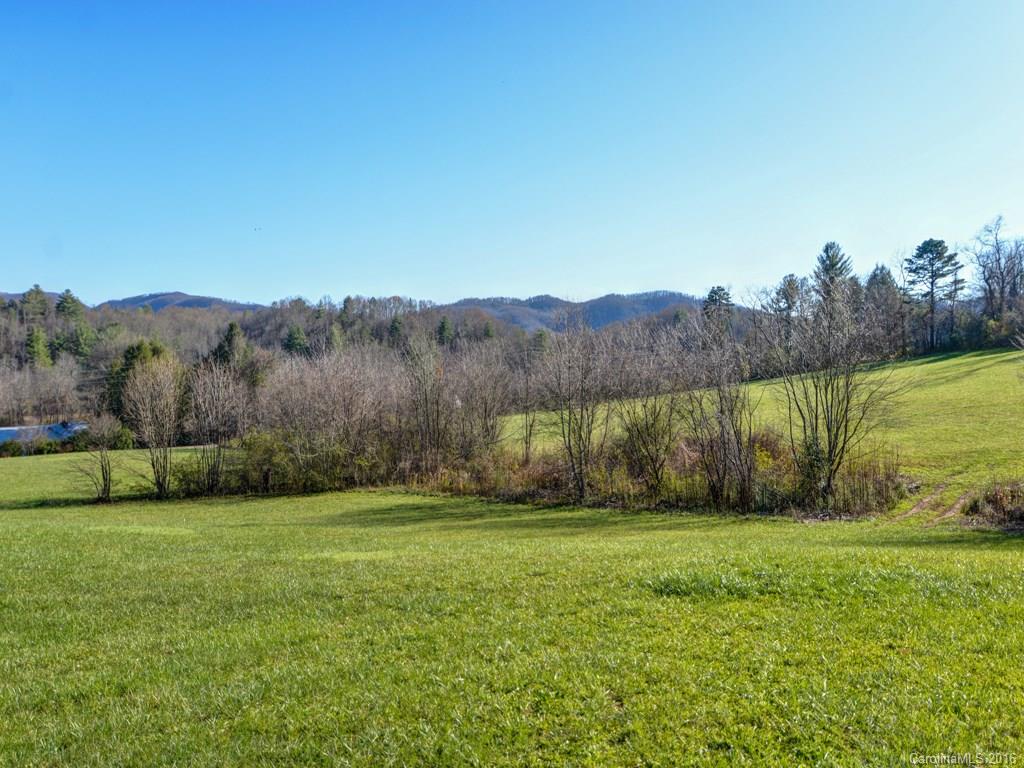 Lot 2 Cane Creek Road, Unit 2 Fletcher, NC 28732 - Photo 3 of 16 Gallery Image 3
