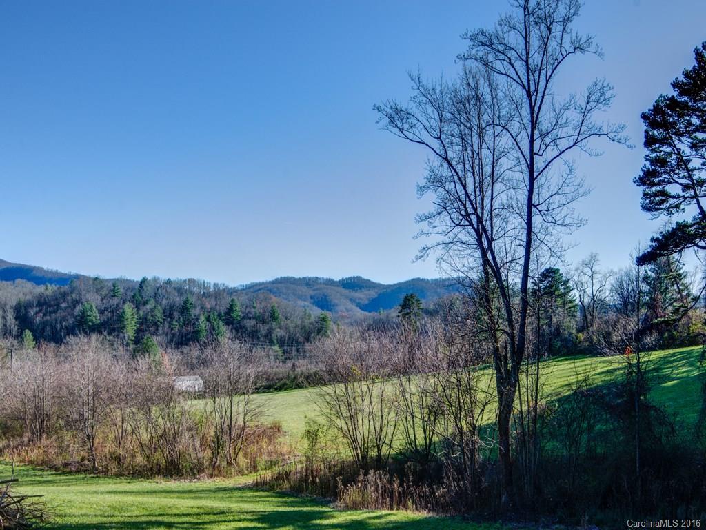 Lot 2 Cane Creek Road, Unit 2 Fletcher, NC 28732 - Photo 4 of 16 Gallery Image 4