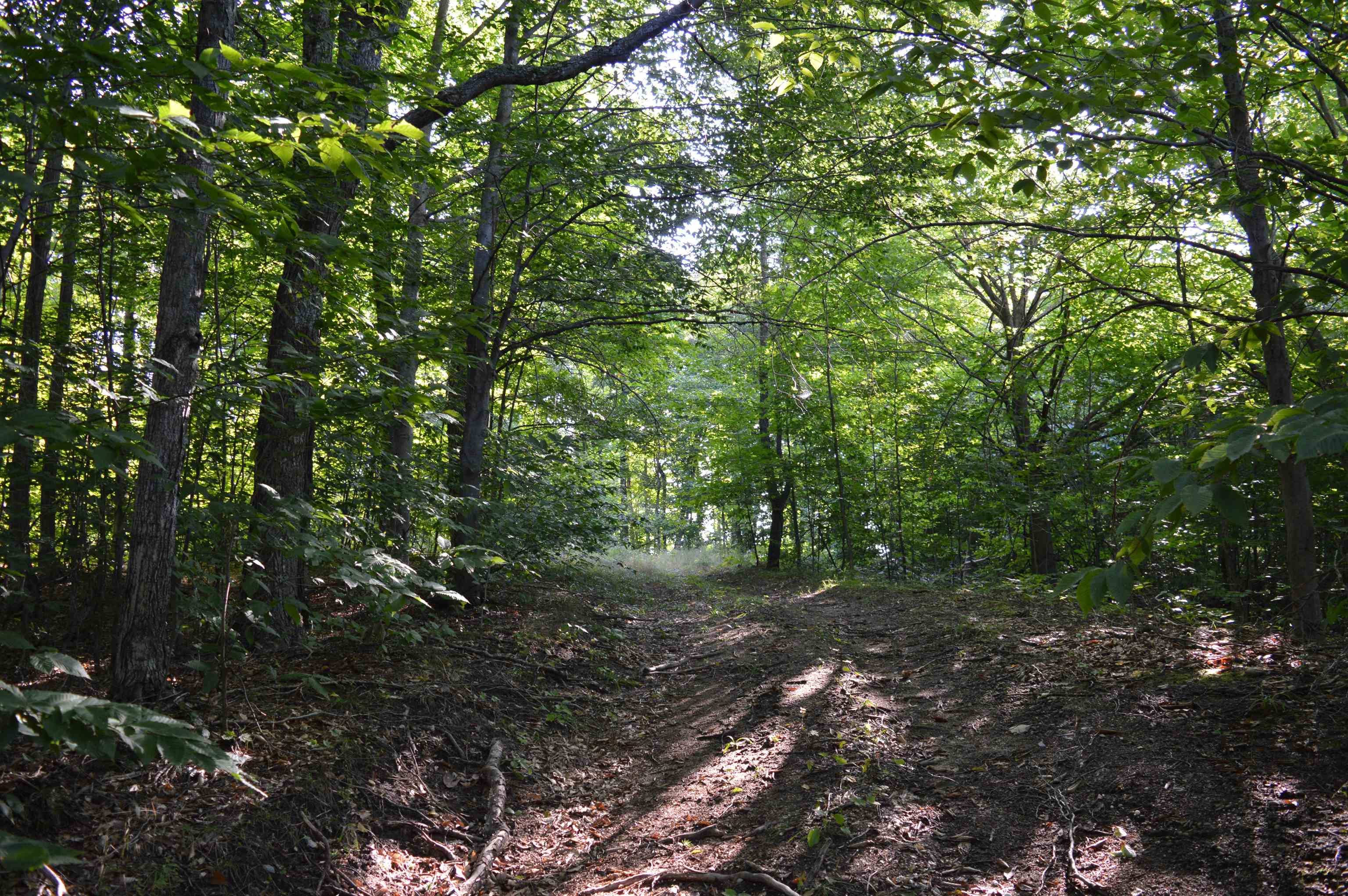 West Leonard Road Mancelona, MI 49659 - Photo 24 of 28 Gallery Image 24