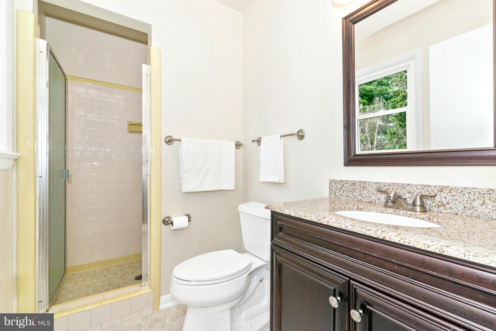 17032 Frederick Road Mount Airy, MD 21771 - Photo 17 of 29 Master bath with shower