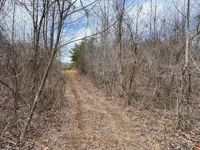 Tbd Brammer Spur Road Woolwine, VA 24185 - Photo 3 of 19 Gallery Image 3