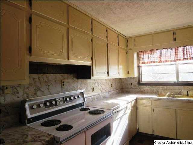 2293 Mt Moriah Road Delta, AL 36258 - Photo 5 of 15