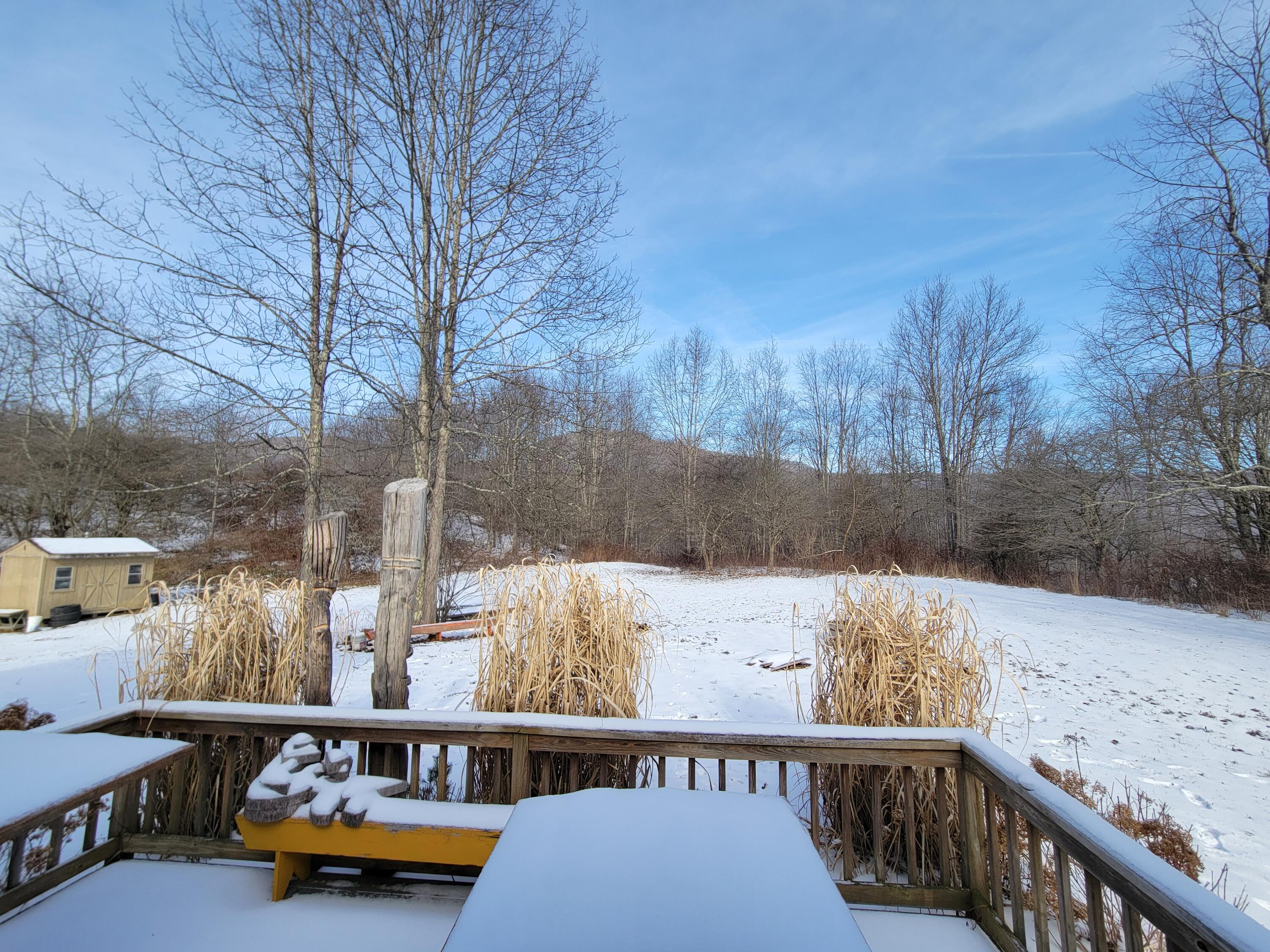 354 Hickory Hill Road Slatyfork, WV 26291 - Photo 8 of 32 Gallery Image 8