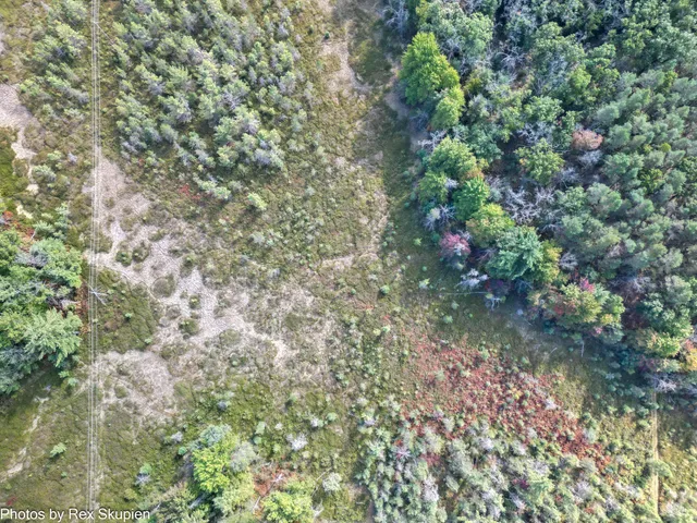 $59,500 | 0 North Centerline Road, White Cloud, MI 49349