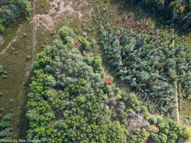 $59,500 | 0 North Centerline Road, White Cloud, MI 49349