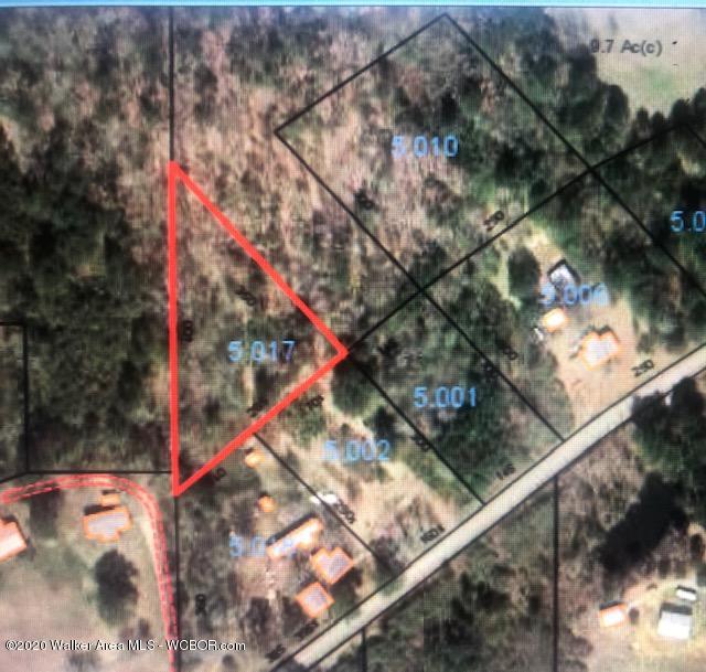 Rose Road Nauvoo, AL 35578 - Photo 11 of 12 Gallery Image 11